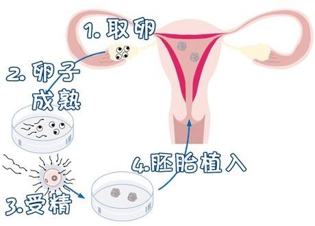 实验室 Fig.01